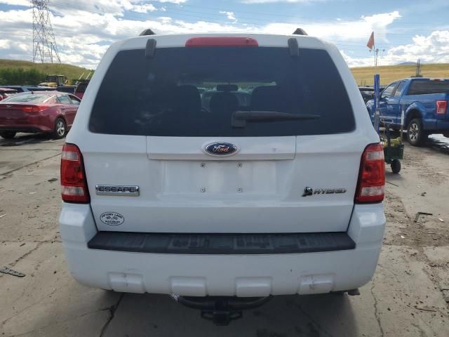 2009 Ford Escape Hybrid