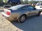 2005 Ford Mustang