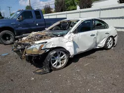 Nissan salvage cars for sale: 2014 Nissan Maxima S