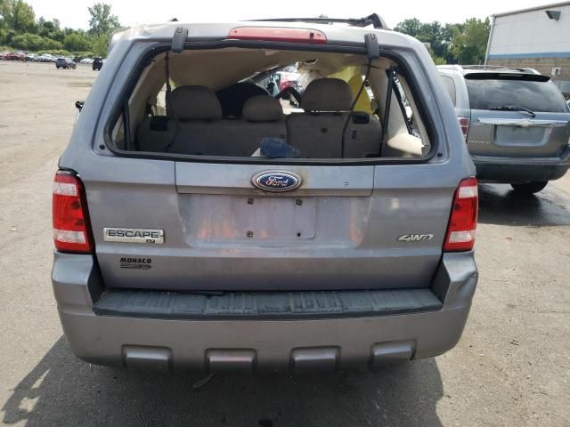 2008 Ford Escape XLT