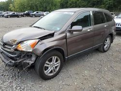 2010 Honda CR-V EXL en venta en Marlboro, NY