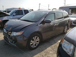 Honda salvage cars for sale: 2014 Honda Odyssey EXL