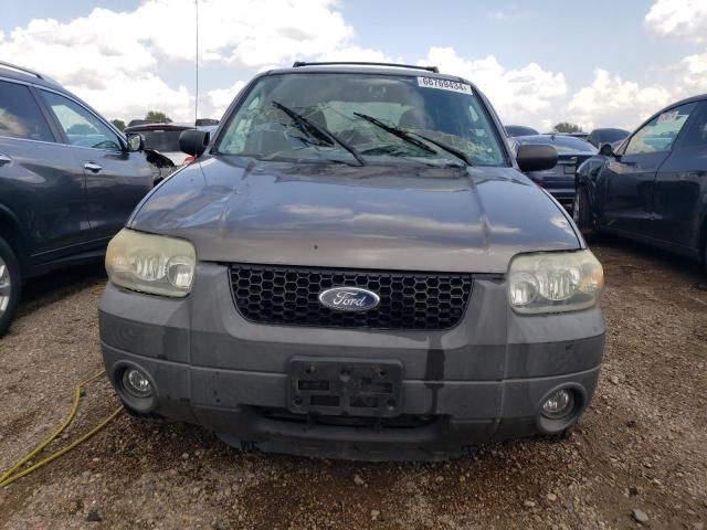 2005 Ford Escape XLT