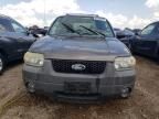 2005 Ford Escape XLT