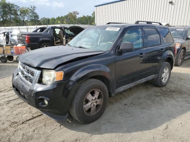 2010 Ford Escape XLT