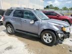 2008 Ford Escape HEV