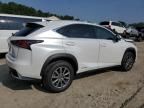 2020 Lexus NX 300H