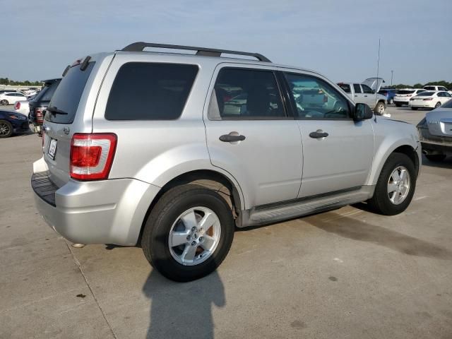 2009 Ford Escape XLT