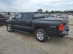 2010 Dodge Dakota SXT