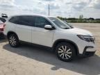 2019 Honda Pilot EXL