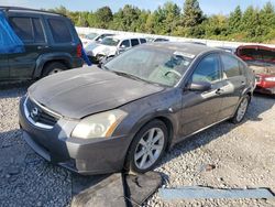 Nissan Vehiculos salvage en venta: 2007 Nissan Maxima SE