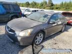 2007 Nissan Maxima SE