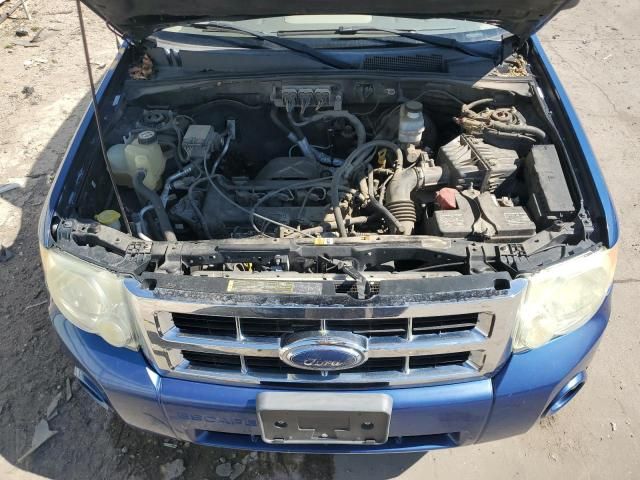 2008 Ford Escape XLT