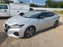 Nissan salvage cars for sale: 2020 Nissan Maxima SL