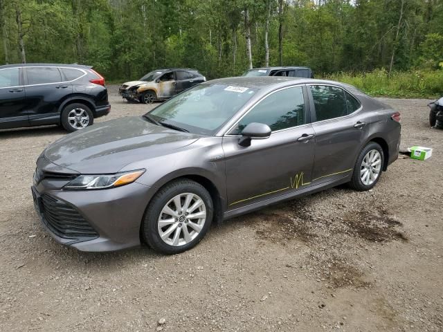 2019 Toyota Camry LE