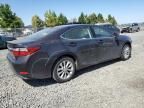 2014 Lexus ES 300H