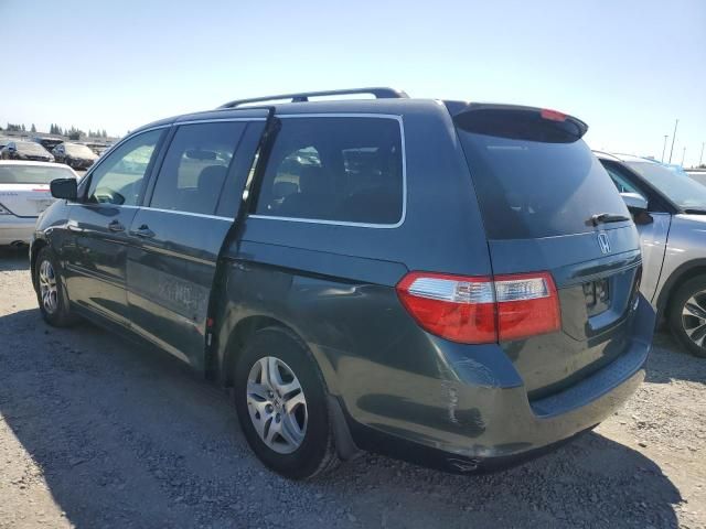 2005 Honda Odyssey EXL