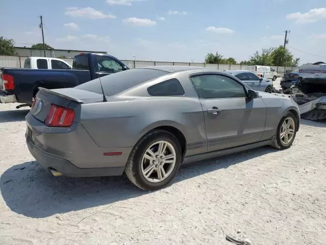 2010 Ford Mustang