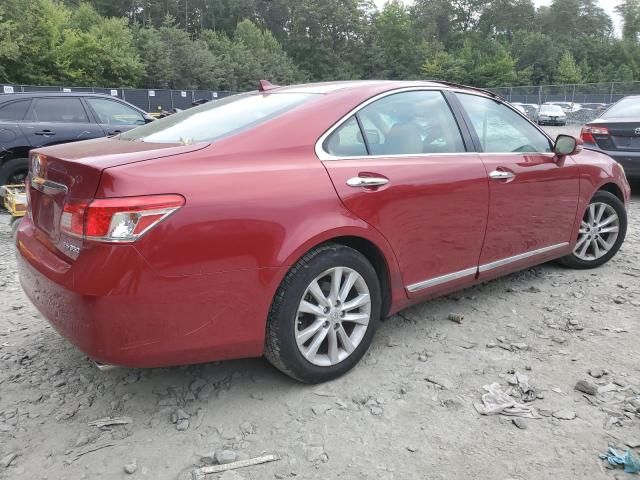 2010 Lexus ES 350