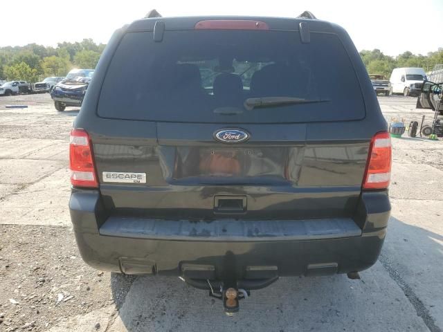 2011 Ford Escape XLT