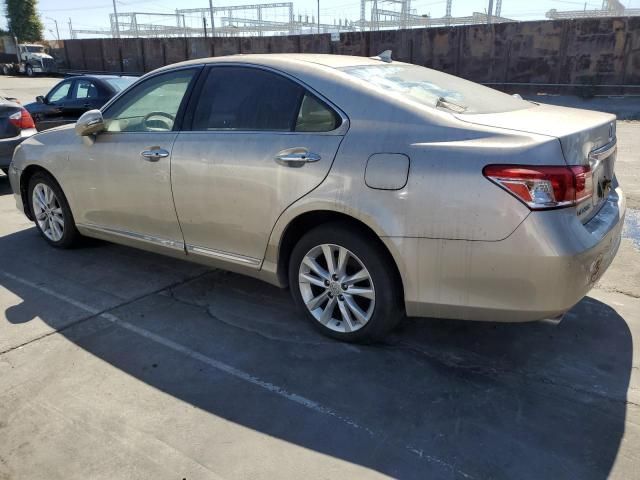 2010 Lexus ES 350