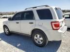 2009 Ford Escape XLS