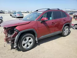 Salvage cars for sale from Copart San Diego, CA: 2020 Toyota Rav4 XLE