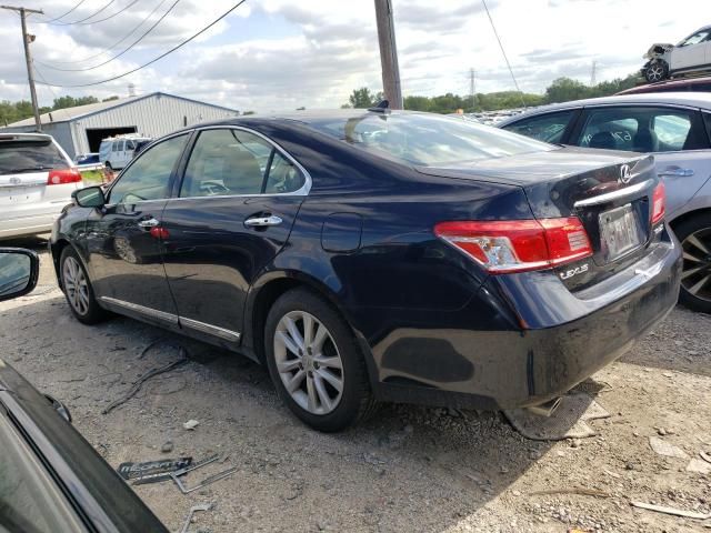 2010 Lexus ES 350