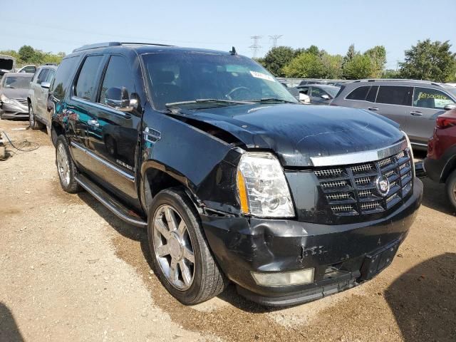 2008 Cadillac Escalade Luxury