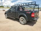 2006 Ford F150