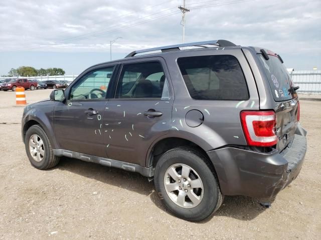 2010 Ford Escape Limited