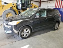 Salvage cars for sale from Copart Billings, MT: 2014 Ford Escape SE