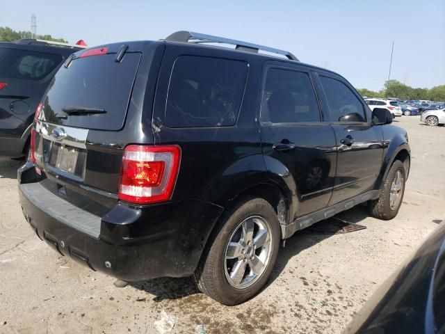 2010 Ford Escape Limited