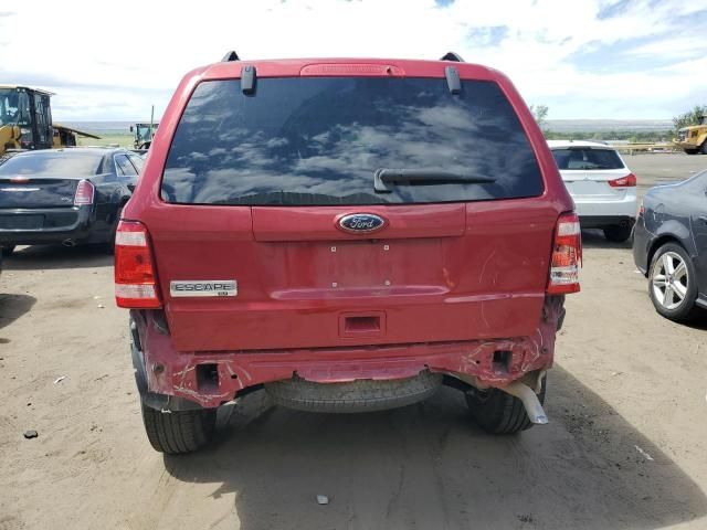 2010 Ford Escape XLT