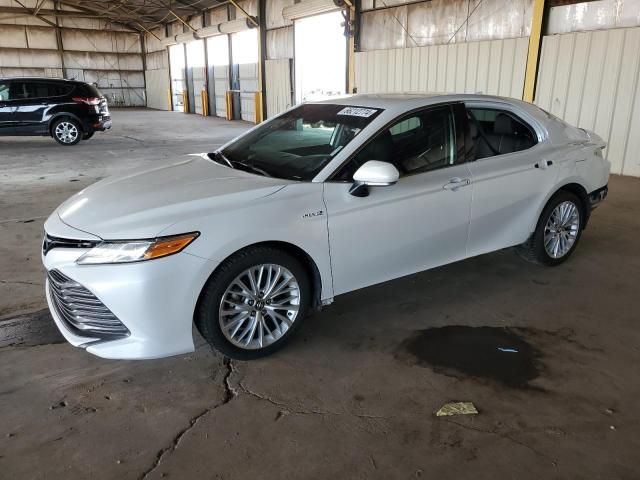 2019 Toyota Camry Hybrid