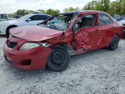 Toyota salvage cars for sale: 2009 Toyota Corolla Base