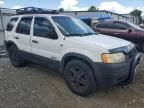 2002 Ford Escape XLT