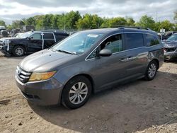 Salvage cars for sale from Copart Chalfont, PA: 2014 Honda Odyssey EXL