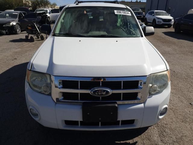 2011 Ford Escape XLT