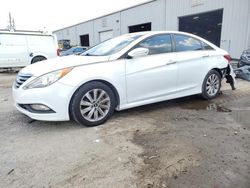 Salvage cars for sale at Jacksonville, FL auction: 2014 Hyundai Sonata SE