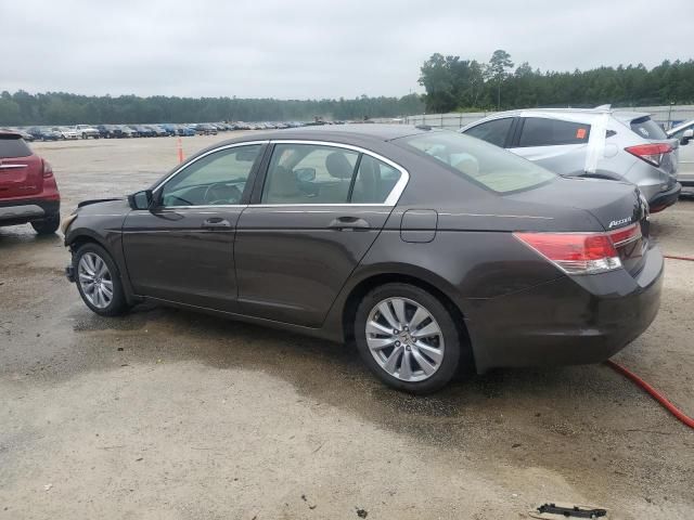 2011 Honda Accord EXL