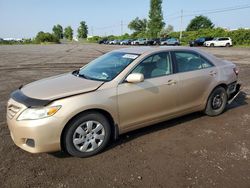 Toyota salvage cars for sale: 2010 Toyota Camry Base