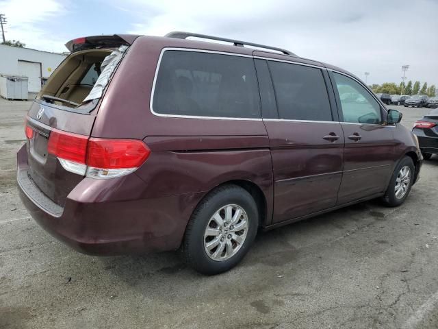 2010 Honda Odyssey EXL