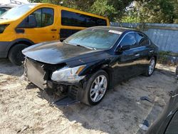 Salvage cars for sale at Seaford, DE auction: 2012 Nissan Maxima S