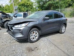 Salvage cars for sale at Marlboro, NY auction: 2023 Ford Escape Active