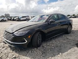 Carros híbridos a la venta en subasta: 2023 Hyundai Sonata Hybrid