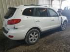 2009 Hyundai Santa FE SE