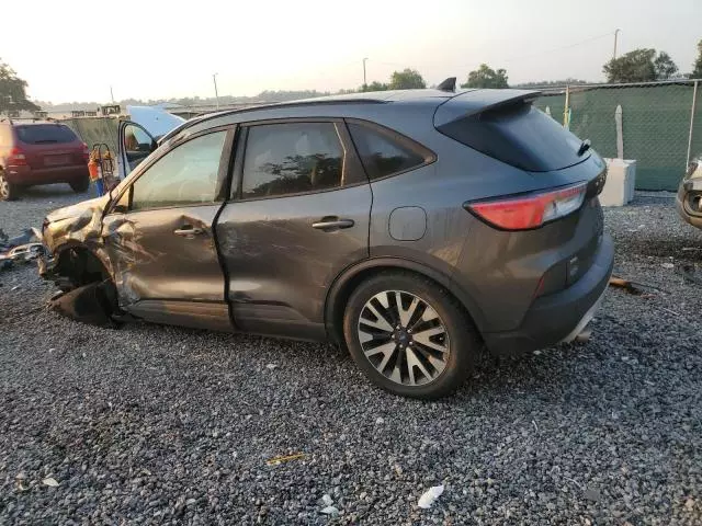 2020 Ford Escape SE Sport