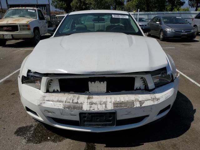 2010 Ford Mustang