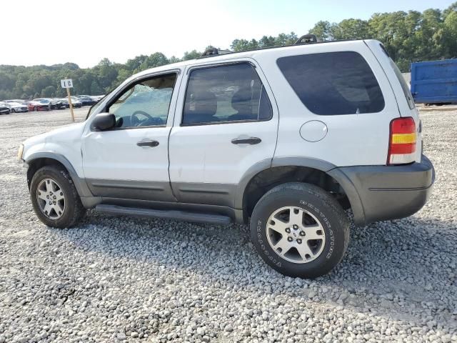 2004 Ford Escape XLT